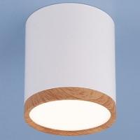 Накладной светильник Elektrostandard Dlr024 a040548