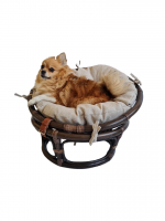 Кресло папасан - мини 23/01Е, цвет: темно - коричневый фото Кресло папасан - мини 23/01Е, цвет: темно - коричневый. Фото №1