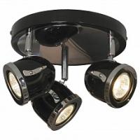 Спот Lussole Tivoli GRLSN-3127-03. Фото №1