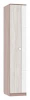 Гармония Шкаф 1-створчатый ясень шимо темный/ясень шимоСветлый Гармония Шкаф 1-створчатый ясень шимо темный/ясень шимоСветлый