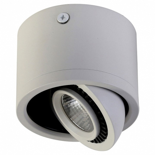 Накладной светильник Favourite Reflector 1774-1C. Фото №1