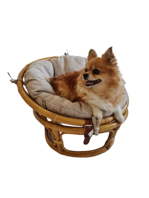 Кресло папасан - мини 23/01Е с подушкой, цвет: мёд. Фото №2