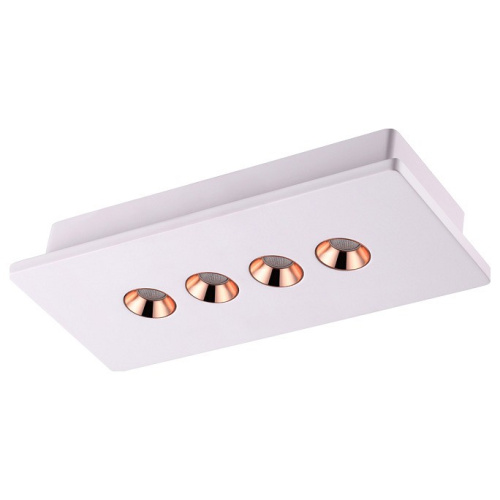 Накладной светильник Novotech Caro 357941. Фото №1