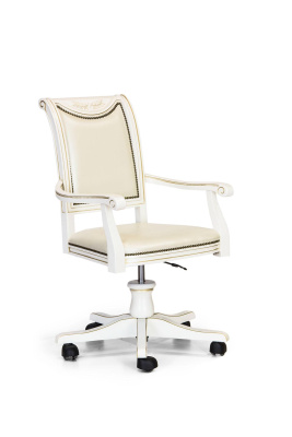 Кресло на колесика х  Габри-3. Фото