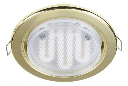 Встраиваемый светильник Maytoni Metal DL293-01-G. Фото №1