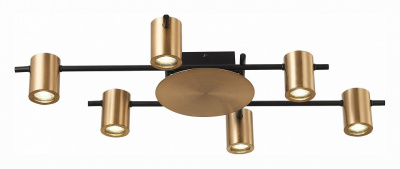 Потолочная люстра ST-Luce Veroli SL1207.402.06. Фото