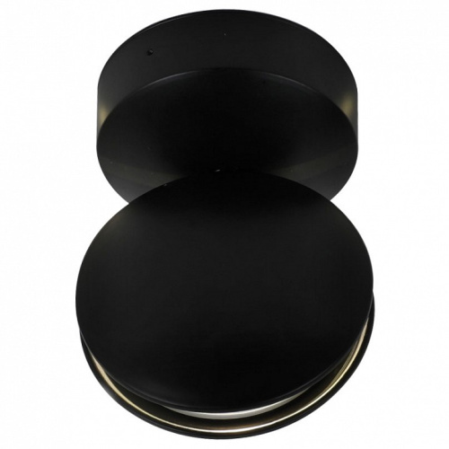 Светильник на штанге Favourite Collare 1999-1W. Фото №1