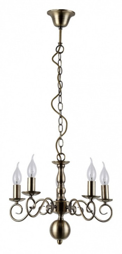 Подвесная люстра Arte Lamp 1129 A1129LM-5AB. Фото №2