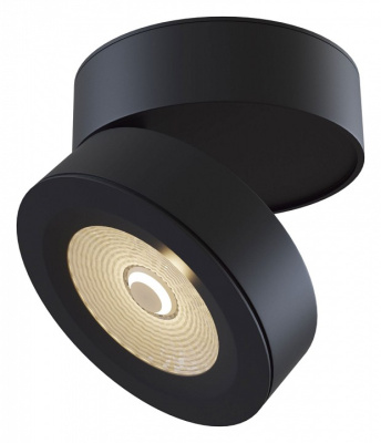 Накладной светильник Maytoni Treviso C023CL-L20B. Фото