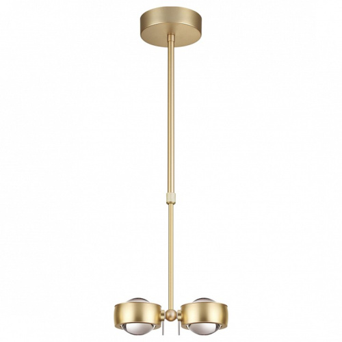 Светильник на штанге Odeon Light Ottico 3874/20L. Фото №1