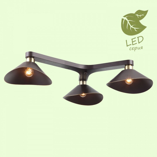 Потолочная люстра Lussole Opelika GRLSP-9534. Фото №2